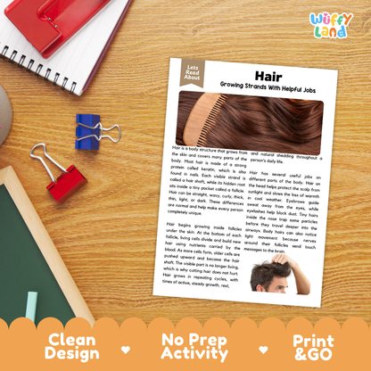 Student reading comprehension worksheet with short-answer questions and lined sections about human hair
