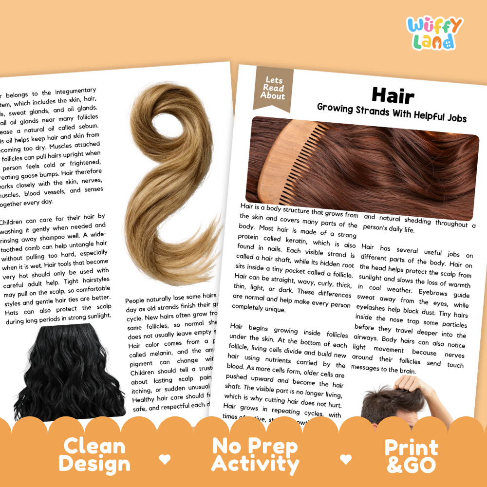 Teacher answer key page showing complete question solutions for Hair human body reading comprehension practice