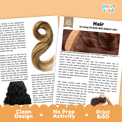 Teacher answer key page showing complete question solutions for Hair human body reading comprehension practice