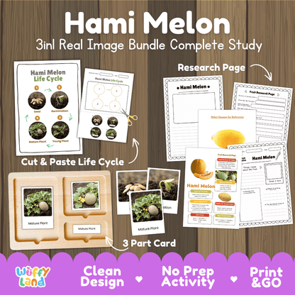 Hami melon life cycle 3in1 real image bundle complete study overview featuring cut and paste worksheets, Montessori 3-part cards, and research pages from Wuffy Land 🍈🌱