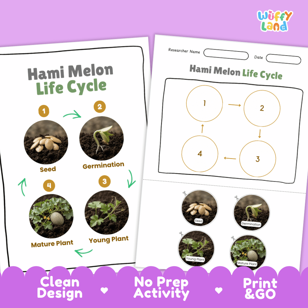 Print and go digital PDF plant science activity featuring clean design layout, researcher name line, and zero prep classroom format