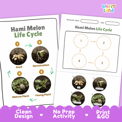 Print and go digital PDF plant science activity featuring clean design layout, researcher name line, and zero prep classroom format