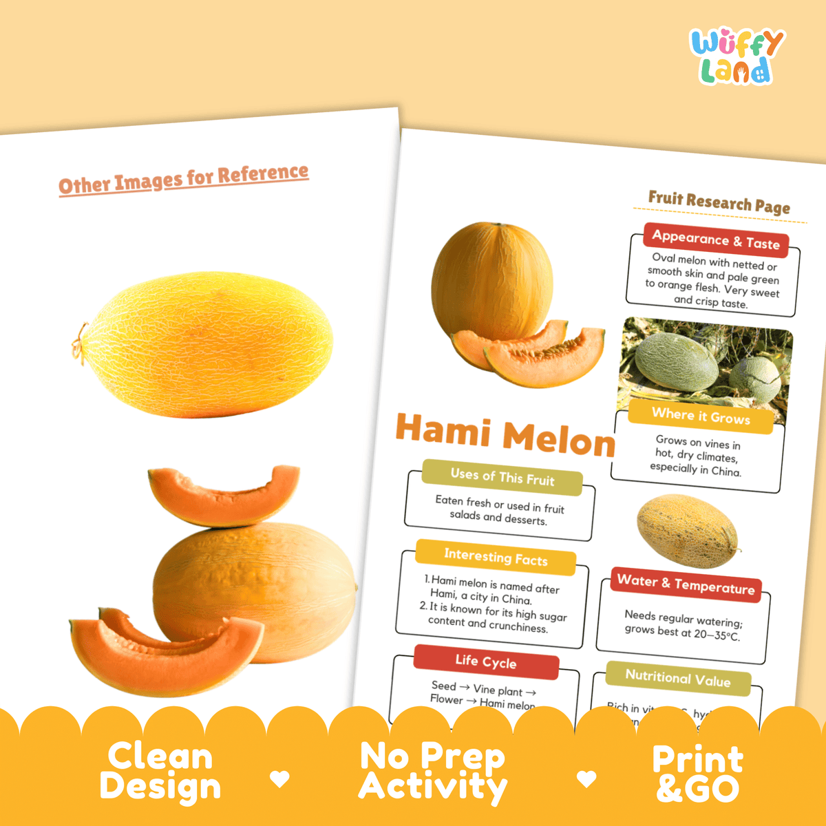 Hami Melon Fruit Research Project Science Worksheet Fact Sheet Activit ...