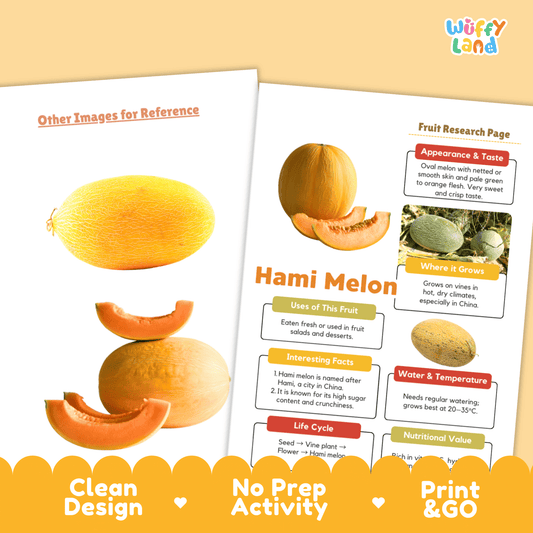 Hami Melon Fruit Research Project Science Worksheet Fact Sheet Activity SEO