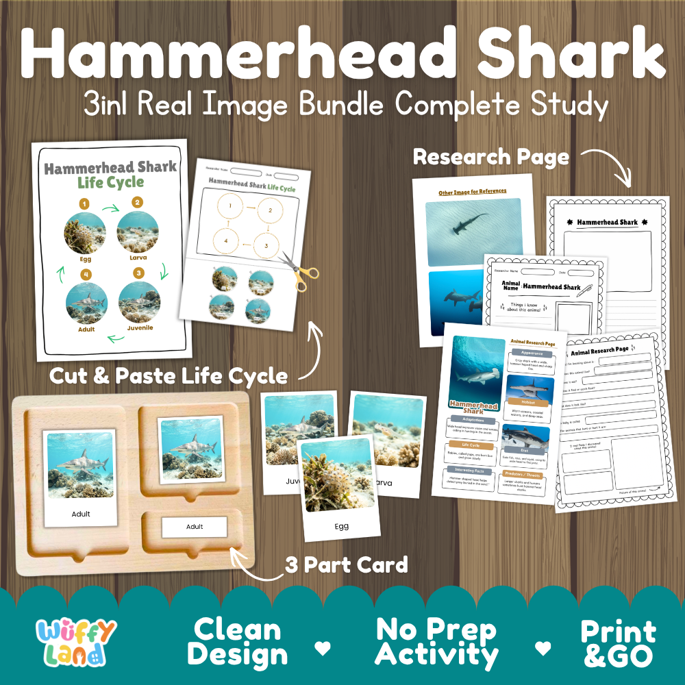 Hammerhead shark 3-in-1 real image bundle complete study cover showing cut and paste life cycle, 3 part cards, and research pages