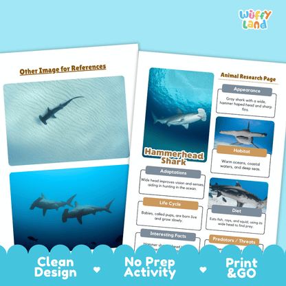 Hammerhead Shark Animal Research Page Worksheets and Fact Sheet Activity