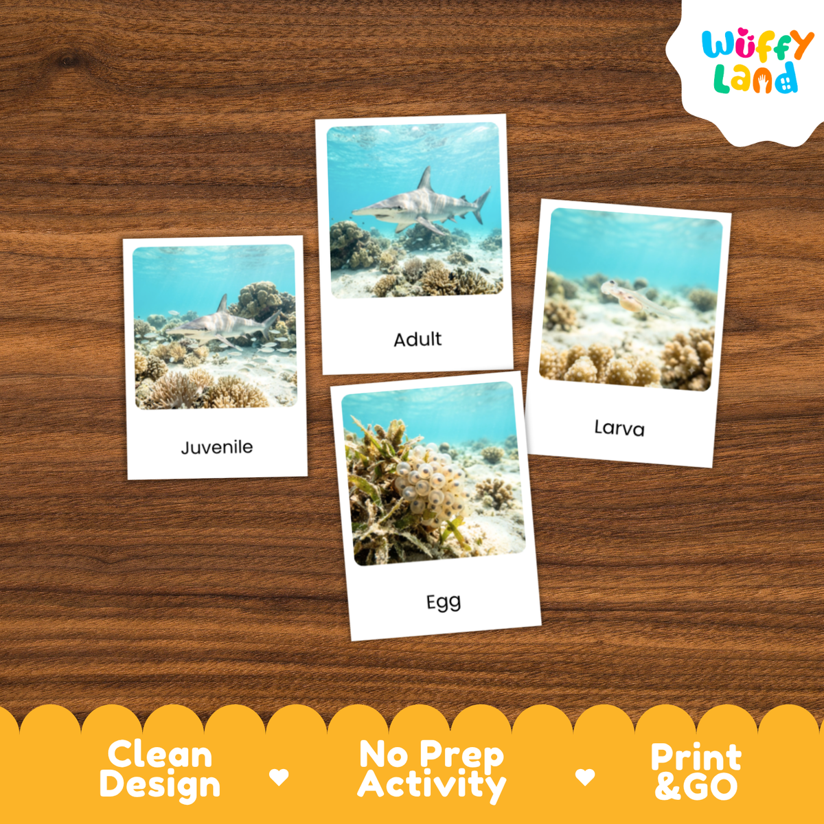 Four educational marine life flashcards showing a shark, adult, egg, and larva labeled on a wooden background, with the Wuffy Land logo in the top right and a yellow banner at the bottom highlighting product features.