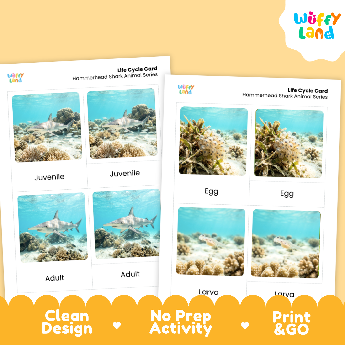 Hammerhead Shark Life Cycle Flashcards | 3 Part Cards Montessori Science Activity