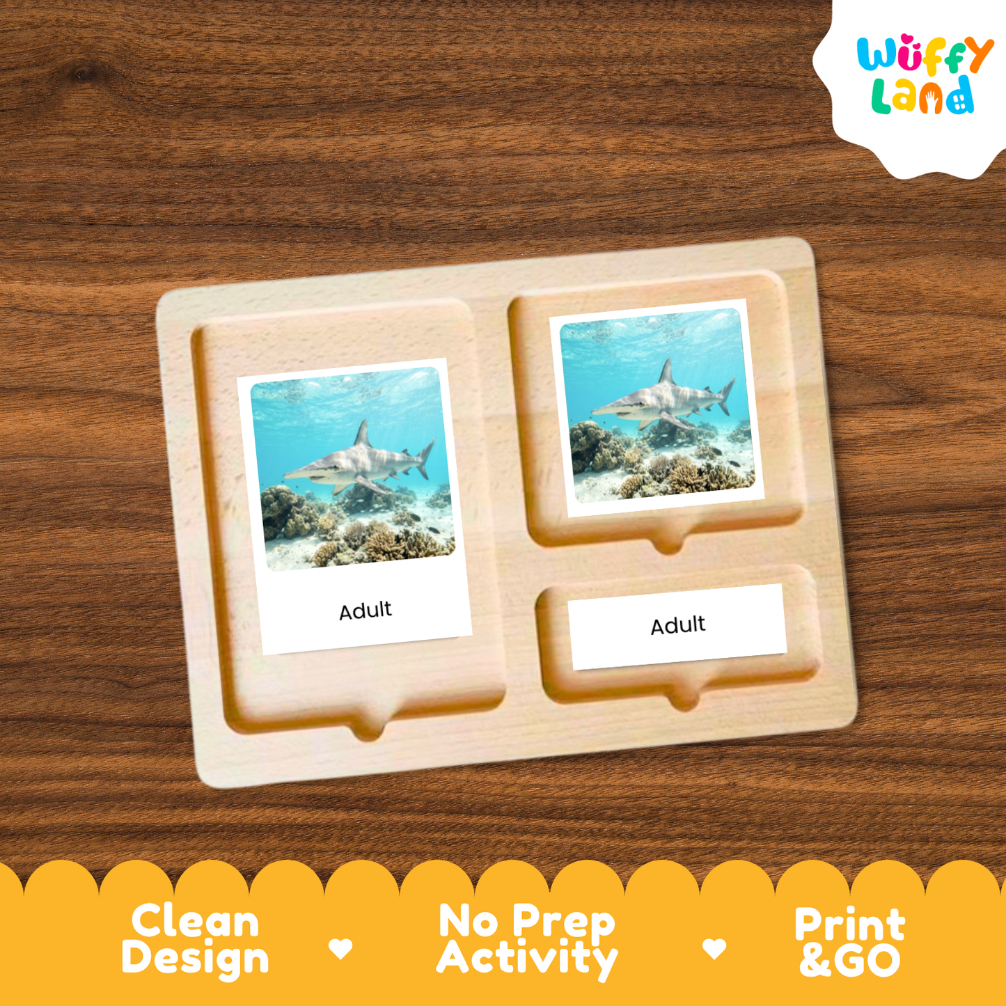 Hammerhead Shark Life Cycle Flashcards | 3 Part Cards Montessori Science Activity