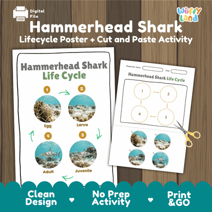 Hammerhead Shark Life Cycle Poster and Cut and Paste Activity Worksheet