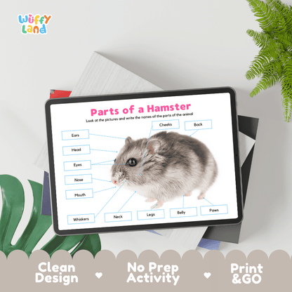 Educational cut and paste hamster anatomy worksheet with printable word cutout tiles for head, ears, cheeks, whiskers, and paws