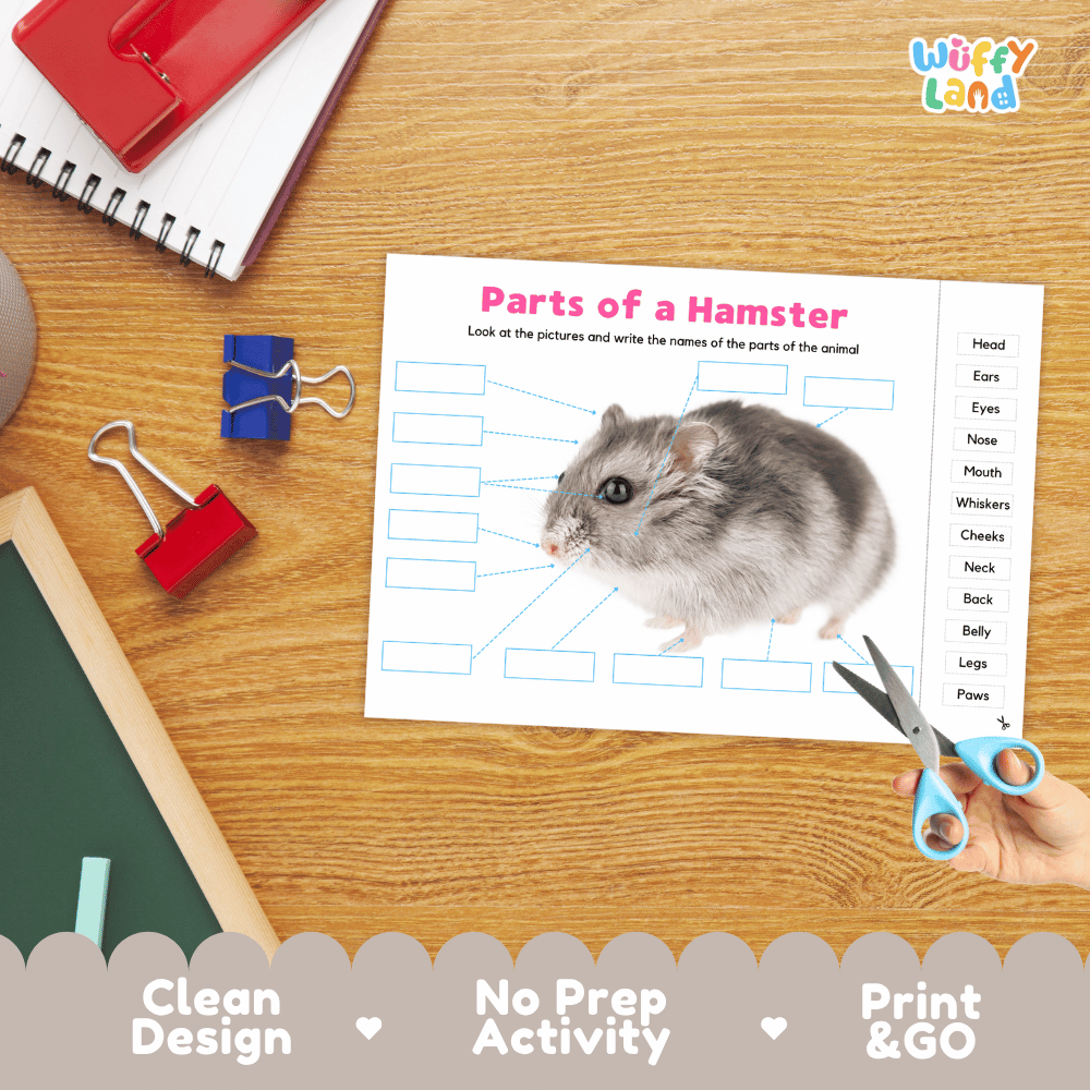 Printable animal body parts worksheet showing a realistic hamster with blank labeling boxes and a vocabulary word bank for writing practice