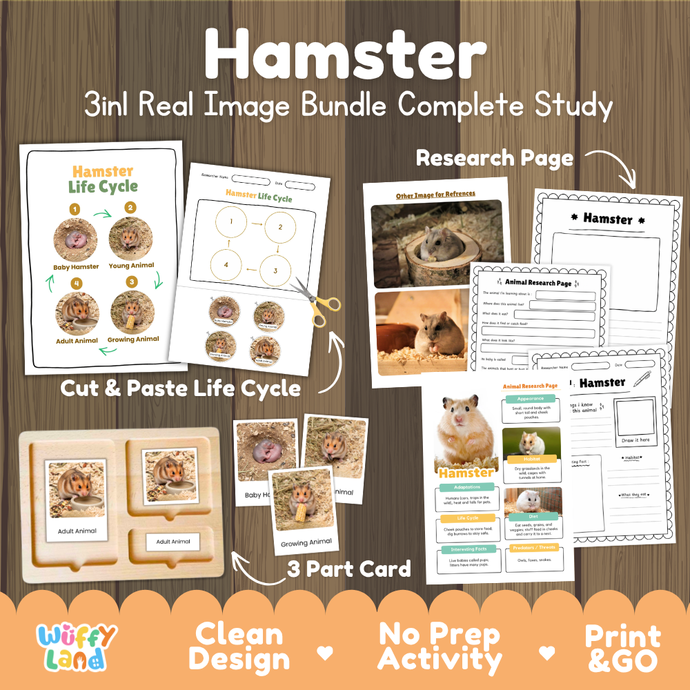Hamster 3-in-1 real image bundle complete study cover showing cut and paste life cycle, 3 part cards, and research pages