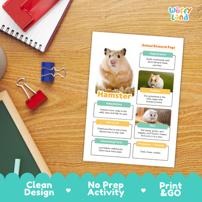 Hamster Animal Research Page Worksheets