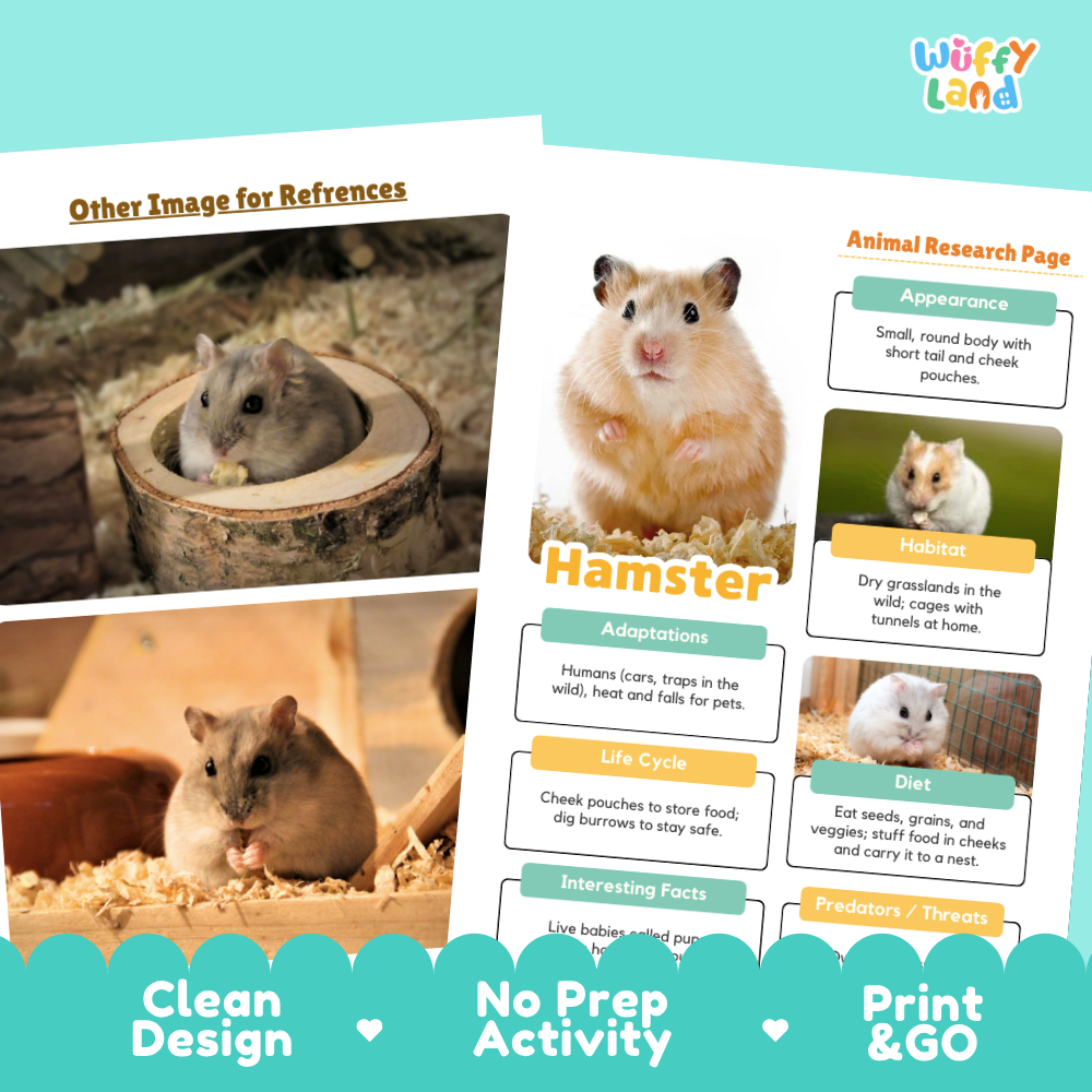 A printed activity sheet or booklet cover for a hamster research project, shown on a teal background. The sheet includes labeled animal research pages with photos of a hamster, text fields for appearance, habitat, adaptations, life cycle, diet, and interesting facts, plus decorative headers and the brand name 'Wiffy Land' in the top right.