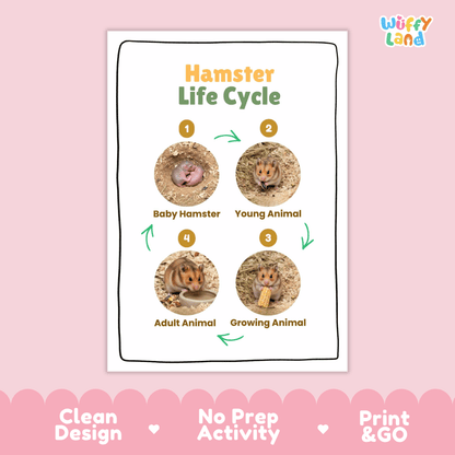 Hamster Life Cycle Poster and Cut and Paste Activity Worksheets