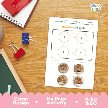 Hamster Life Cycle Poster and Cut and Paste Activity Worksheets