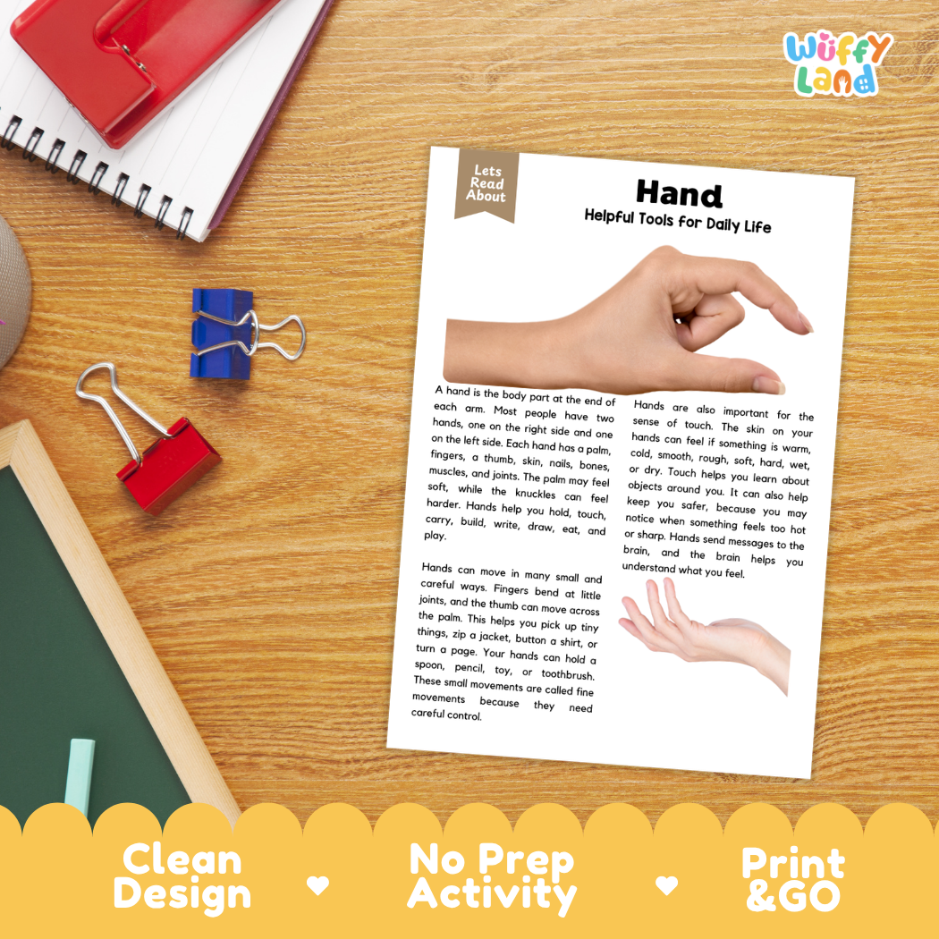 Student reading comprehension worksheet with short-answer questions and lined sections about the human hand