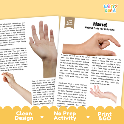 Teacher answer key page showing complete question solutions for Hand human body reading comprehension practice