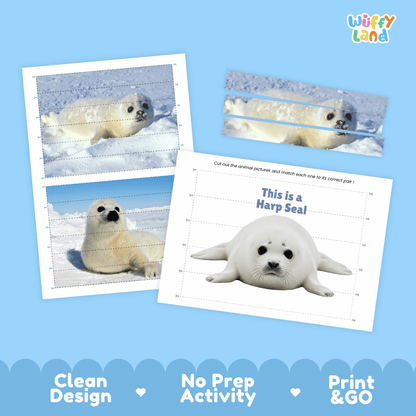 Harp Seal Cut and Match Puzzle Activity Worksheets