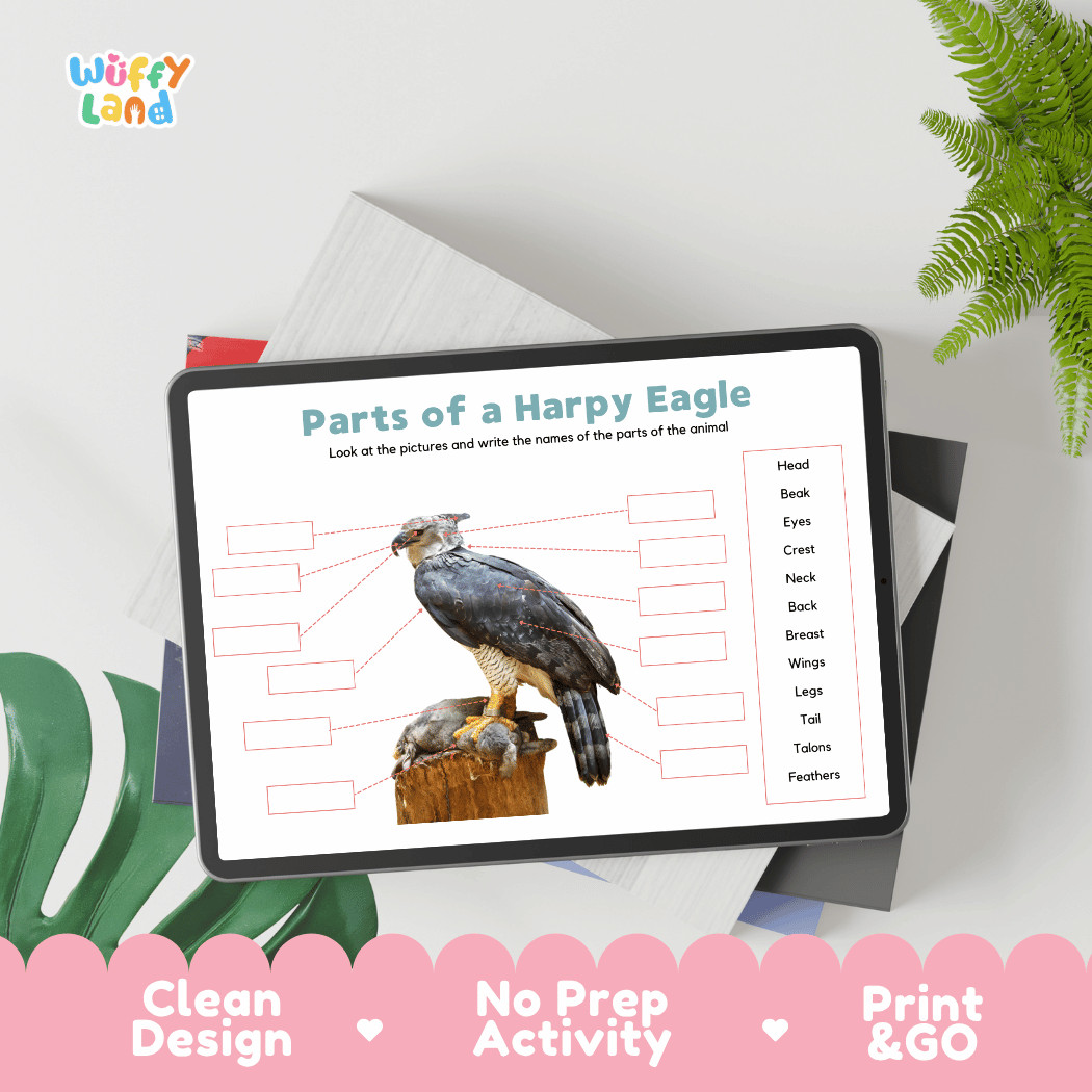 Hands-on harpy eagle anatomy cut and paste worksheet with printable word tags, callout pointer lines, and scissors graphic