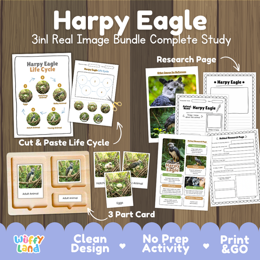 Harpy Eagle 3-in-1 real image bundle complete study cover showing cut and paste life cycle, 3 part cards, and research pages