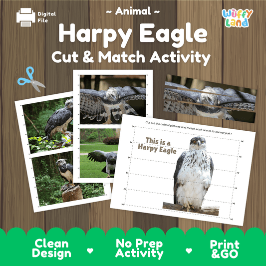 Harpy Eagle Cut and Match Activity Worksheets | Bird of Prey Puzzle Printables
