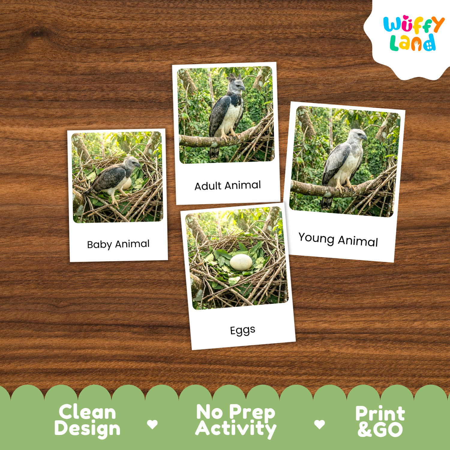 Four educational animal identification cards showing a bird in a nest, labeled Baby Animal, Adult Animal, Young Animal, and Eggs, arranged on a brown wood background with a Wuffy Land logo and feature badges.