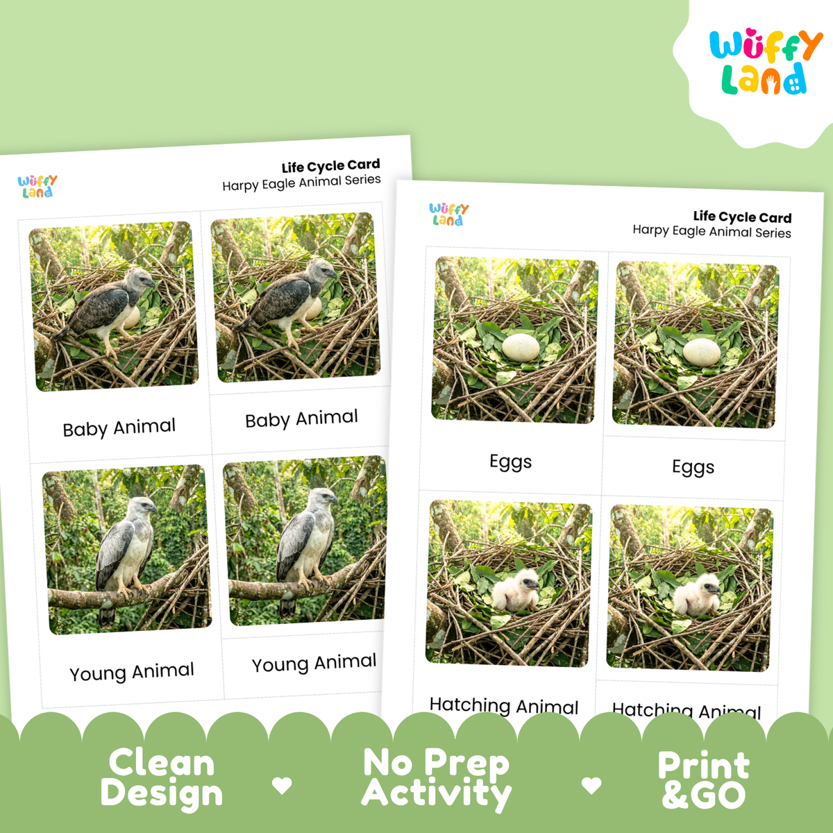 Two printed educational activity cards titled 'Life Cycle Card' for Harpy Eagle Animal Series, displayed on a light green background with a Wüffy Land logo. The cards show labeled photos of baby, young, eggs, and hatching eagles in nests, with marketing text 'Clean Design', 'No Prep Activity', and 'Print & GO' along the bottom.