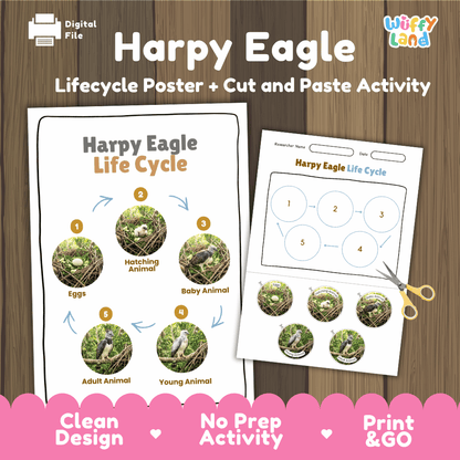 Harpy Eagle Life Cycle Poster and Cut and Paste Activity Worksheets