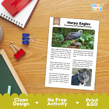 An educational activity sheet about Harpy Eagles laid on a wooden desk, surrounded by a red notebook, blue binder clips, and a red pencil case. The sheet includes text and two eagle photos, with the brand name 'Wiffly Land' in the top right corner.