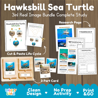 Hawksbill sea turtle 3-in-1 real image bundle complete study cover showing cut and paste life cycle, 3 part cards, and research pages