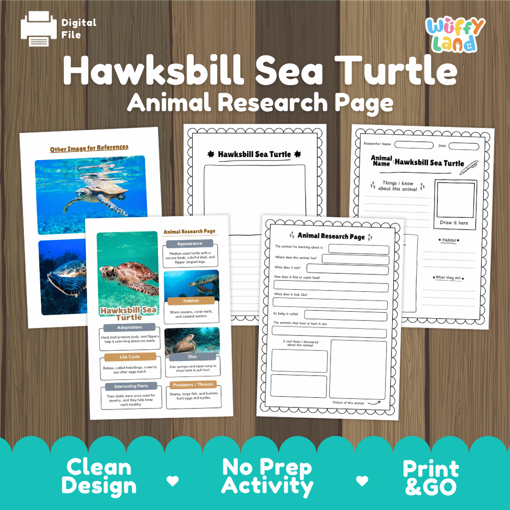 Hawksbill Sea Turtle Animal Research Page Worksheets and Fact Sheet Activity