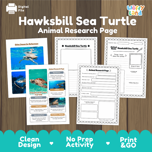 Clean design no prep print and go hawksbill sea turtle marine reptile ocean animal life cycle study printable PDF pack for elementary science