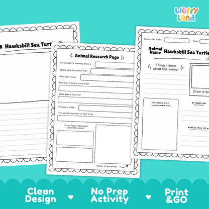 Hawksbill Sea Turtle Animal Research Page Worksheets and Fact Sheet Activity
