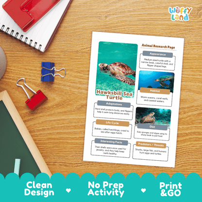 Hawksbill Sea Turtle Animal Research Page Worksheets and Fact Sheet Activity