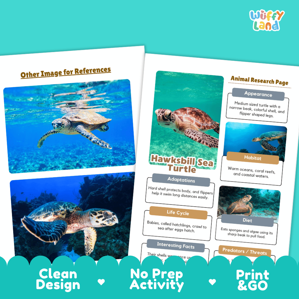 Hawksbill Sea Turtle Animal Research Page Worksheets and Fact Sheet Activity