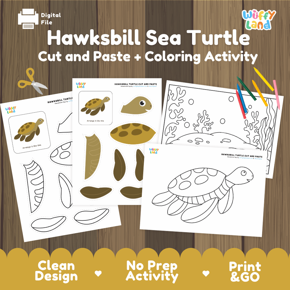 Hawksbill Sea Turtle Cut and Paste Craft and Coloring Activity Worksheets
