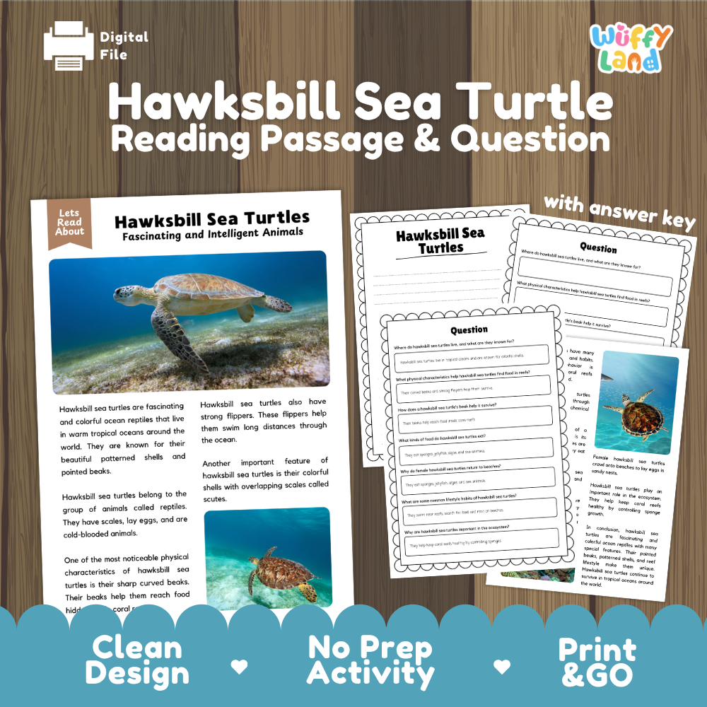 Hawksbill Sea Turtle Reading Passage and Comprehension Questions Worksheets