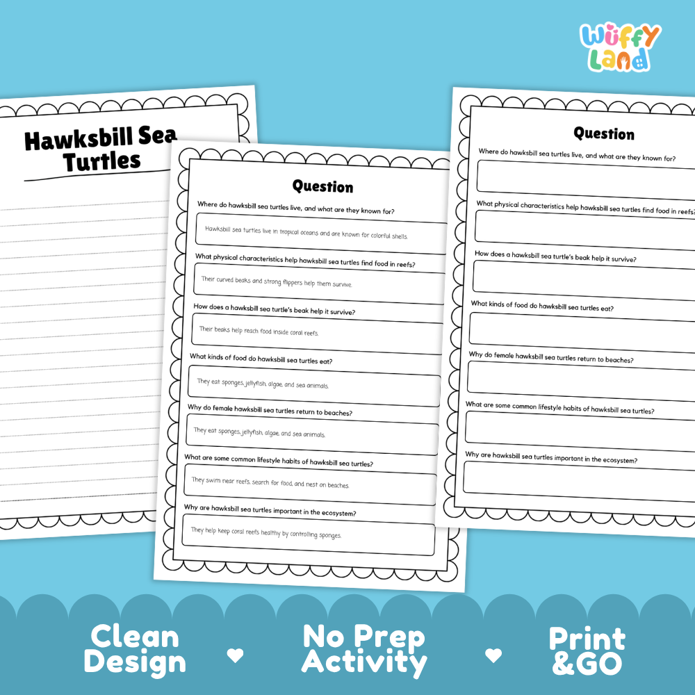 Hawksbill Sea Turtle Reading Passage and Comprehension Questions Worksheets