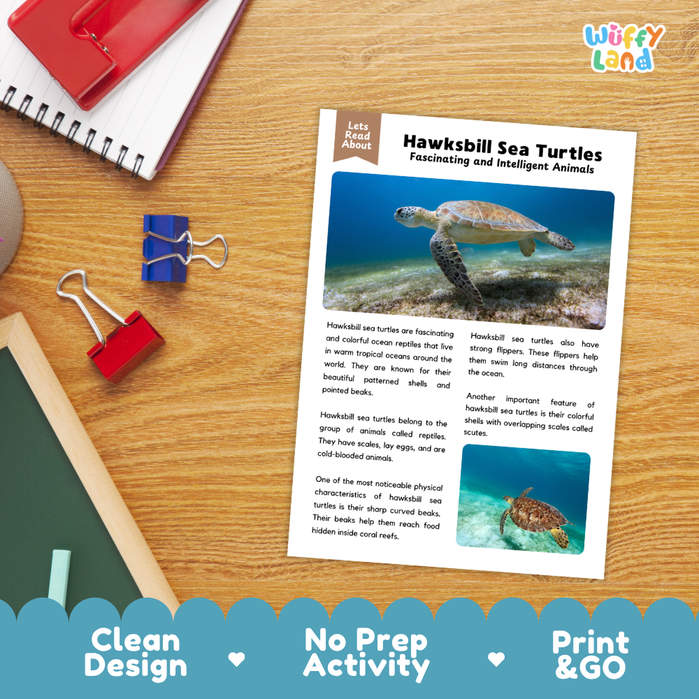 Hawksbill Sea Turtle Reading Passage and Comprehension Questions Worksheets