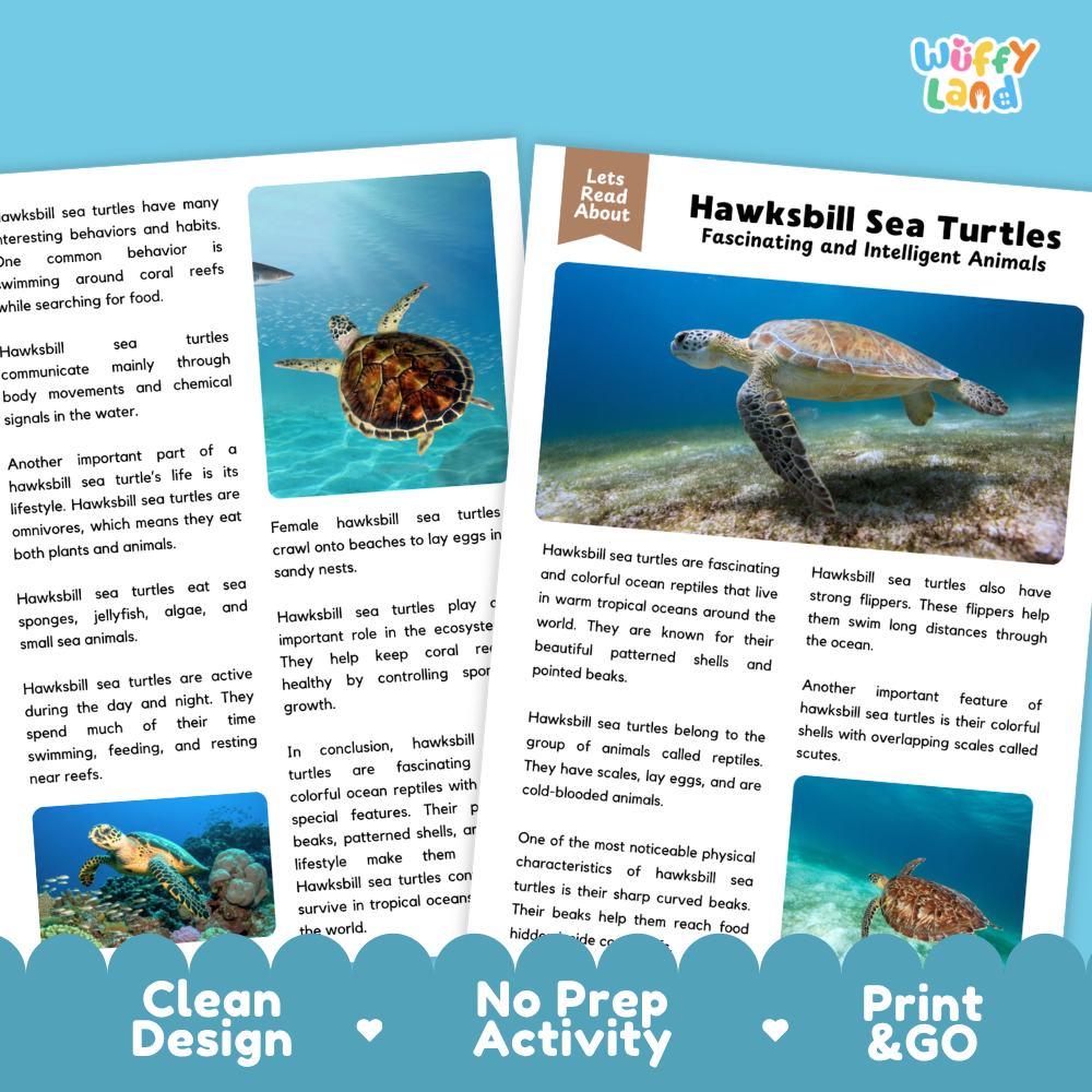 Hawksbill Sea Turtle Reading Passage and Comprehension Questions Worksheets
