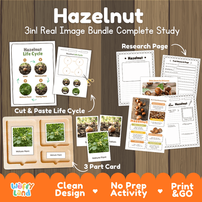 Complete Hazelnut 3-in-1 real image study bundle featuring cut and paste worksheets, Montessori 3-part cards, and research pages 🌰🌱