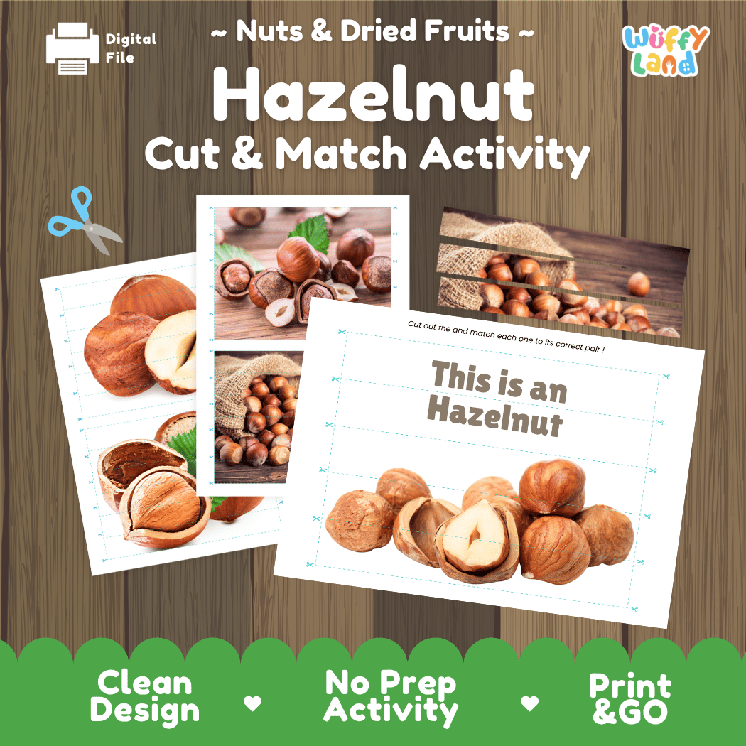 Hazelnut Cut and Match Activity Worksheets | Nuts and Dried Fruits Puzzle Printables