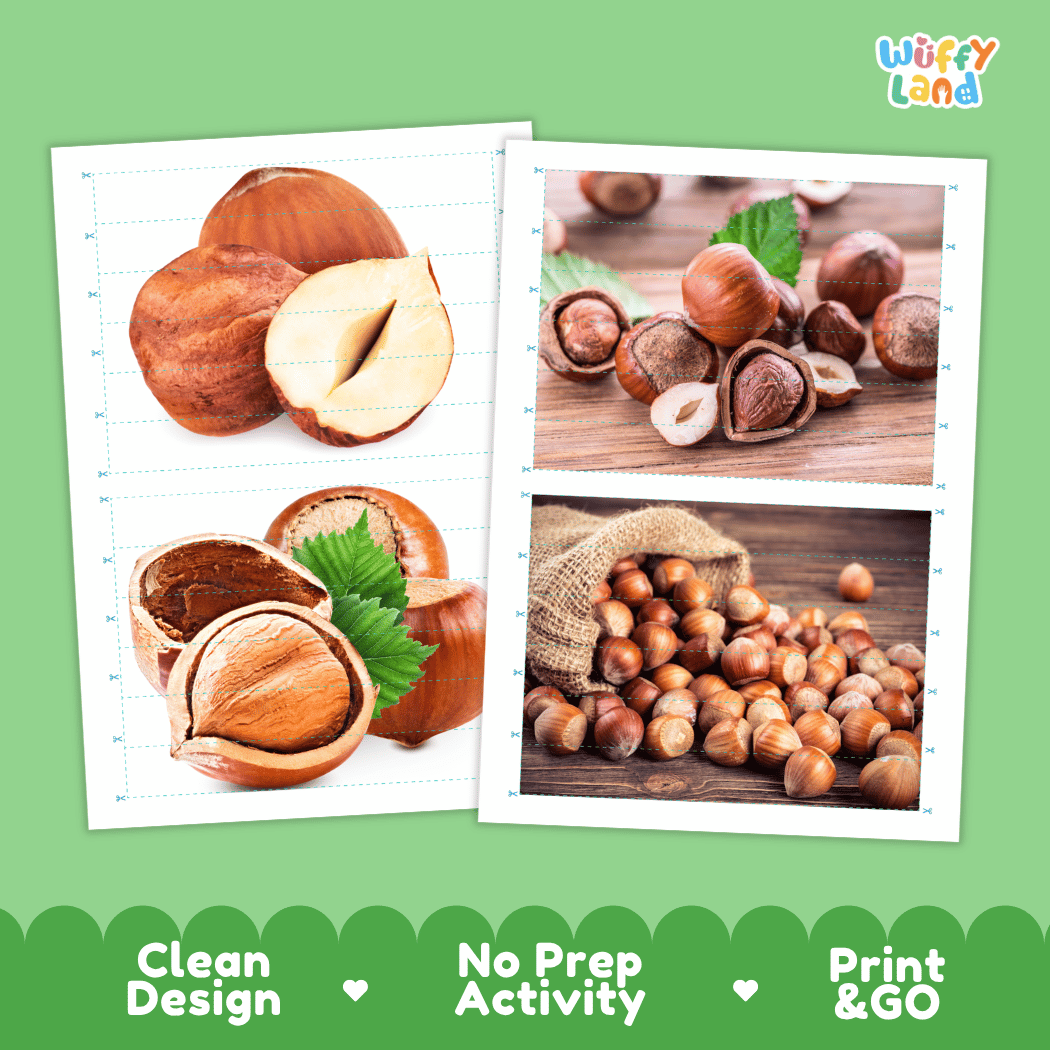Hazelnut Cut and Match Activity Worksheets | Nuts and Dried Fruits Puzzle Printables