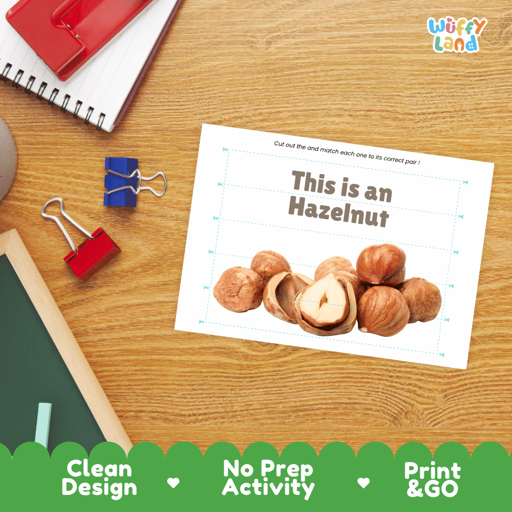Hazelnut Cut and Match Activity Worksheets | Nuts and Dried Fruits Puzzle Printables