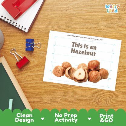 Hazelnut Cut and Match Activity Worksheets | Nuts and Dried Fruits Puzzle Printables