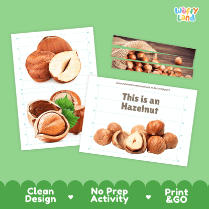 Hazelnut Cut and Match Activity Worksheets | Nuts and Dried Fruits Puzzle Printables