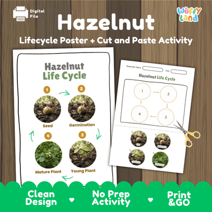 Hazelnut Life Cycle Poster and Cut and Paste Activity Worksheets