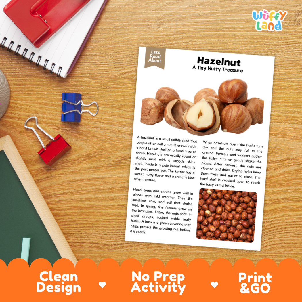 An educational activity sheet titled 'Hazelnut: A Tiny Nutry Treasure' by Wiffle Land, displayed on a wooden desk with a red notebook, blue binder clips, and a white pencil. The sheet features text about hazelnuts and a photo of a sliced hazelnut.